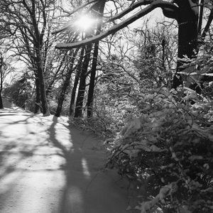 Meet your Posher, Deirdre